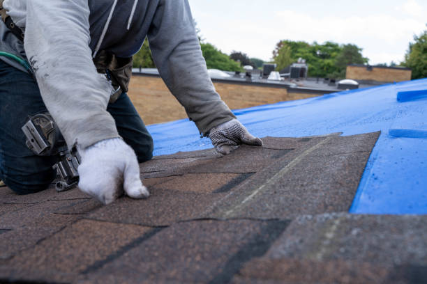 Roof Gutter Cleaning in Mescal, AZ