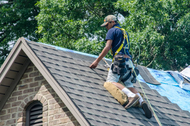 Best Roof Waterproofing Services  in Mescal, AZ